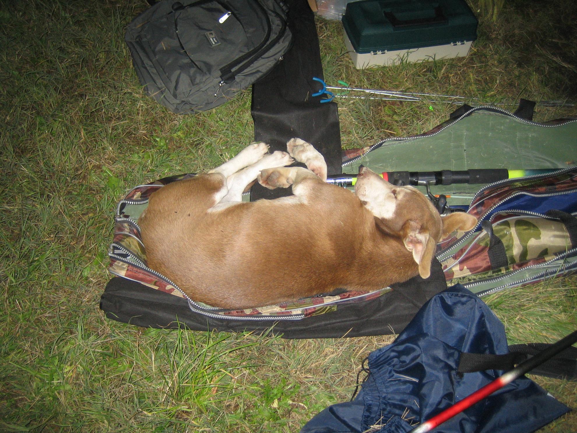 DELTA 2007-2012 - UN PRIETEN!